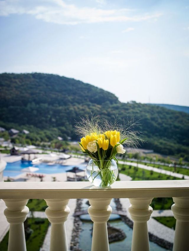 🌟 Shamakhi Stay: Luxury & Vibes in Azerbaijan 🌟