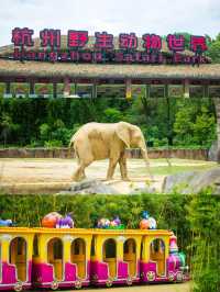剛回來！！杭州野生動物世界夏日暢玩攻略