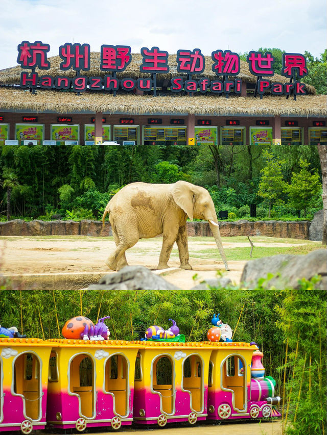剛回來！！杭州野生動物世界夏日暢玩攻略