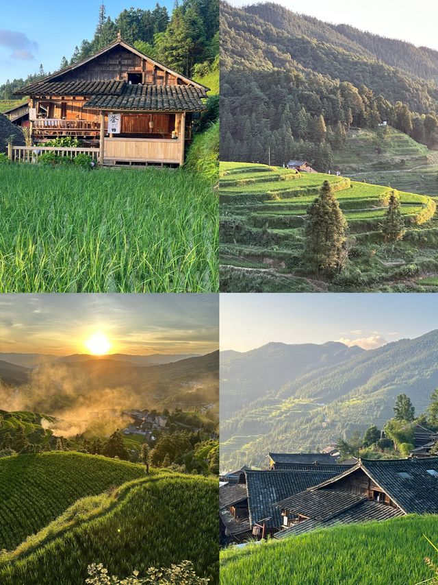 侗族生態博物館-堂安侗寨梯田
