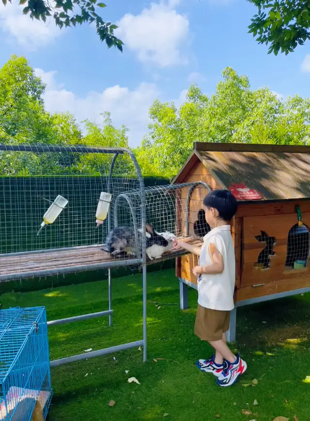 宜兴親子旅行、二日一夜の遊び方