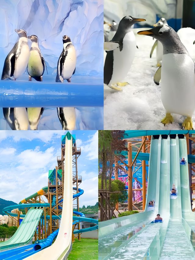 體驗一次難忘的2日海洋之旅。