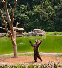 杭州野生動物園親子遊時間安排，建議收藏！
