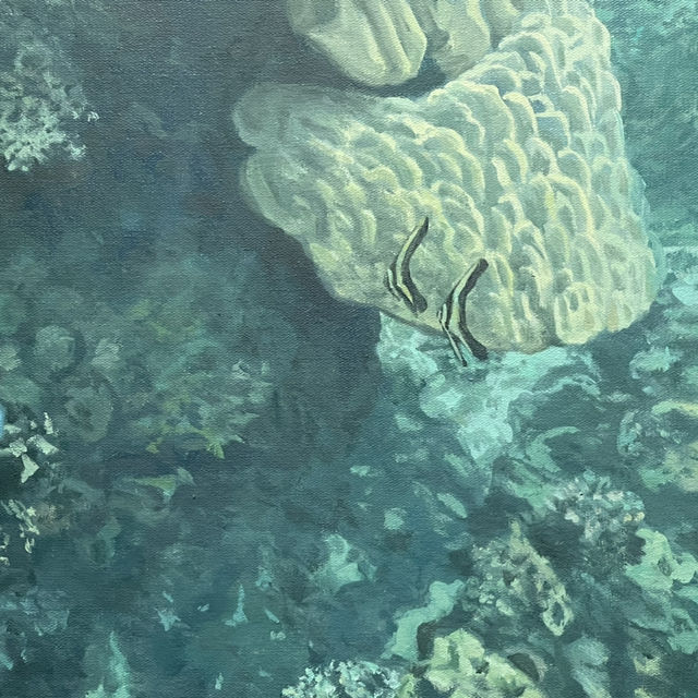 海之蒼穹