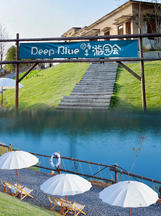 深蓝计划 Deep Blue 参考图 2