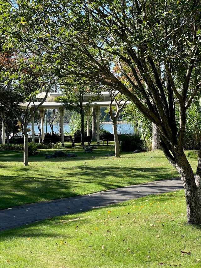 寧波日湖公園丨迷霧森林。