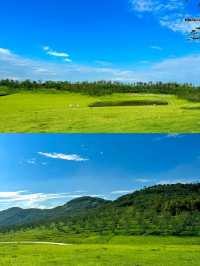 在山東發現了最像新疆的地方。