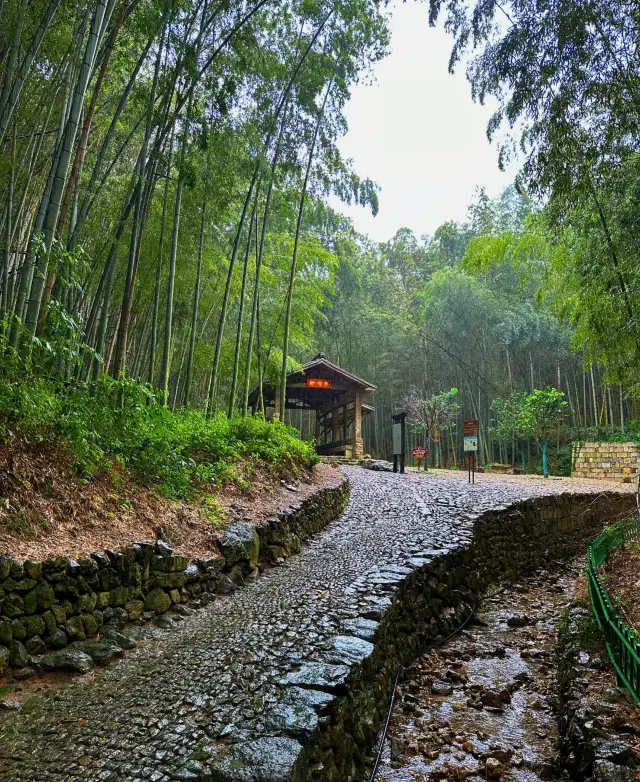 Shaoxing.