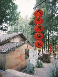 武漢大餘灣｜在這裡體驗與婺源同款晒秋。