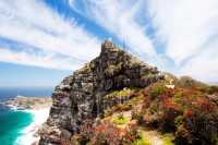 Table Mountain National Park 遊玩攻略。