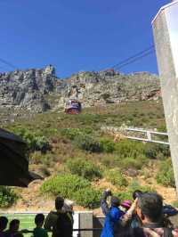 Table Mountain National Park 遊玩攻略。