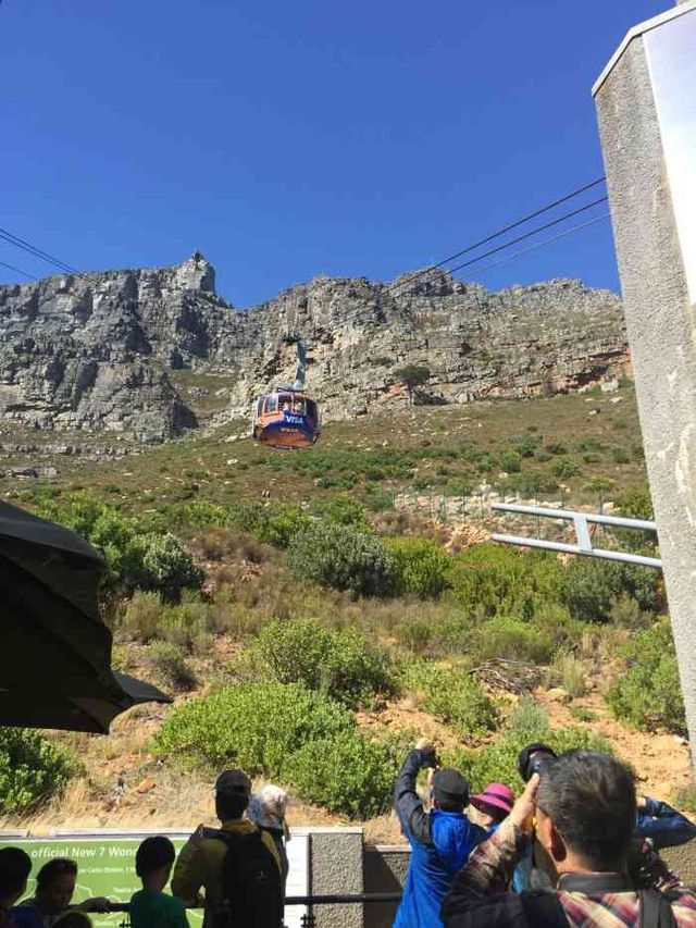 Table Mountain National Park 遊玩攻略。