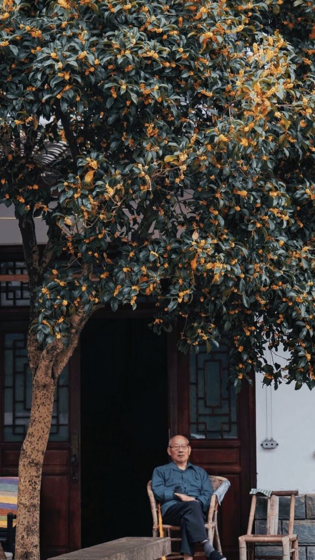 杭州桂博園。
