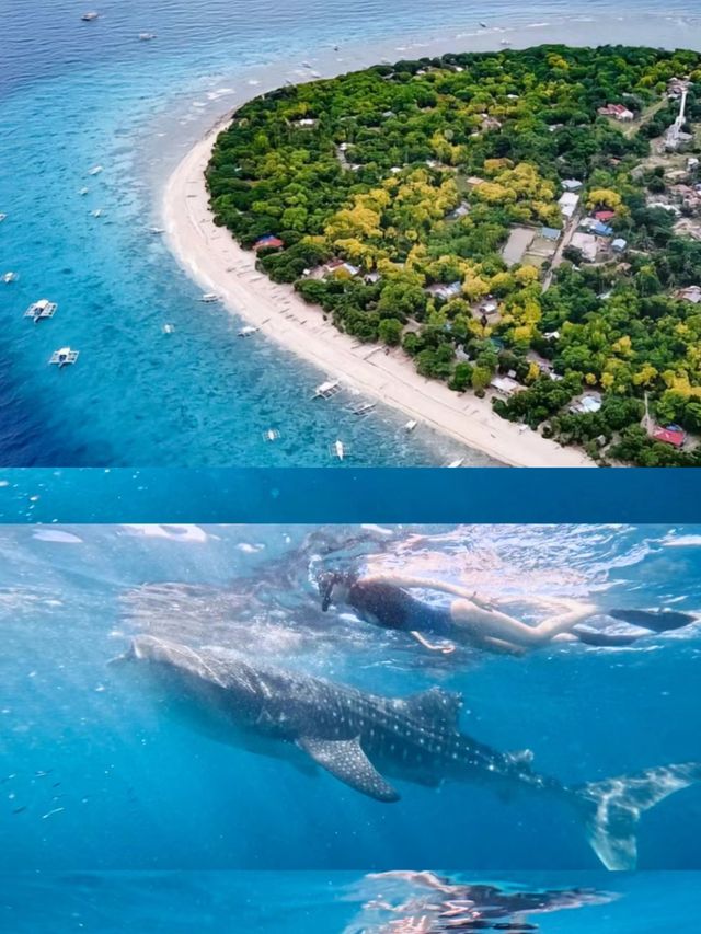 菲律賓：島嶼天堂的秘密探索 。