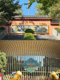 探秘河源巴伐利亞莊園，邂逅異國風情。