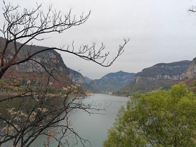 青塔湖濕地公園。