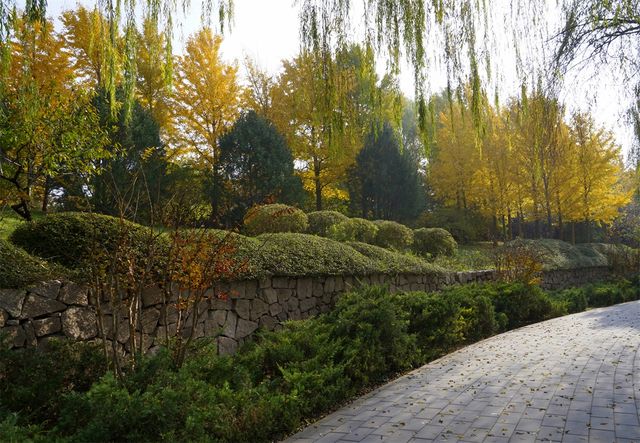 秋日裡，走進有著農耕印記的北坞公園。