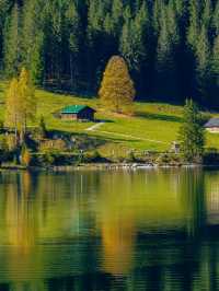 A Lovely Experience in Austria 🥰❤️ Must Visit💥