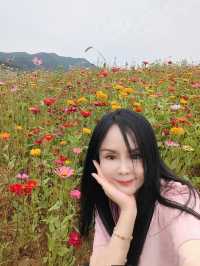 田園綜合體／舟山。