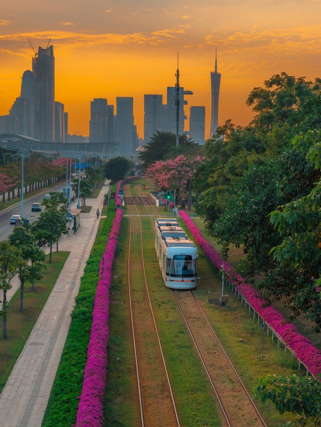 11.11 廣州今日世紀晚霞你們都拍了嗎？。