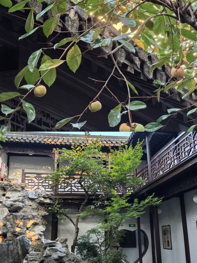 逸圃，一座被忽略的揚州園林！可惜啊。