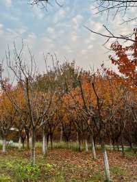 西安雁南公園|這裡的公園不一樣。