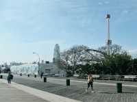 New York: Free Roaming in The City of Freedom
