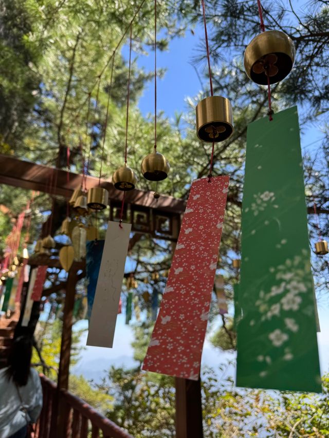 商洛天竺山國家森林公園|休閒旅遊的絕佳好去處。