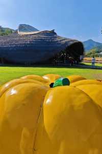 一日遊|杭州自駕1小時安吉免費省錢周末遊攻略。