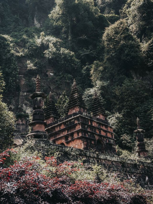 洪雅2日遊｜秋天的熱門風景別錯過