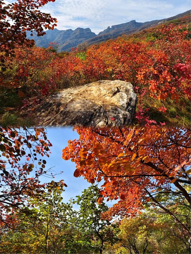 坡峰嶺超全遊玩攻略來啦