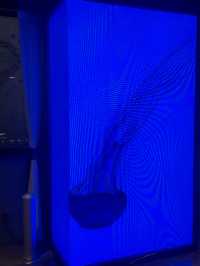 旅行必住！解放碑的寶藏酒店下次還來住