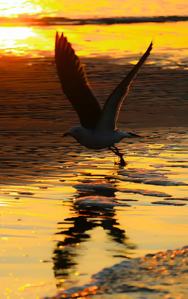 แม้จะฟังดูไม่ค่อยดี แต่นี่คือสภาพปัจจุบันของเวยไห่