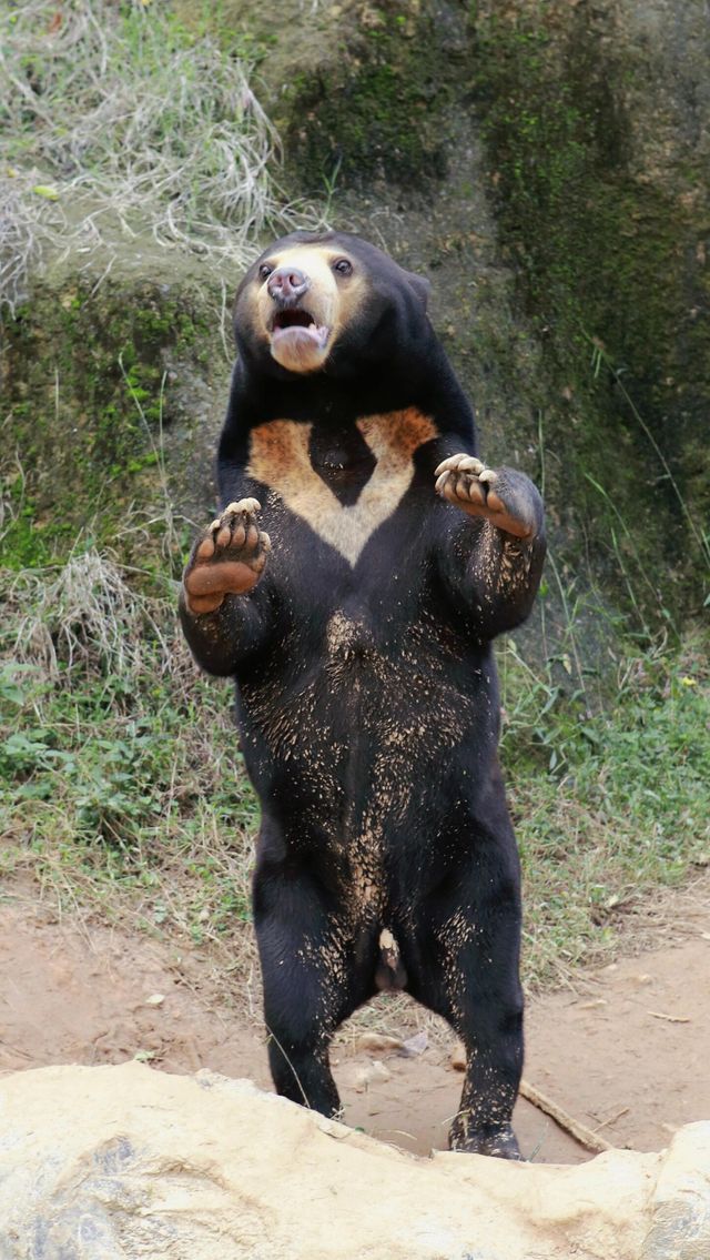 杭州野生動物園