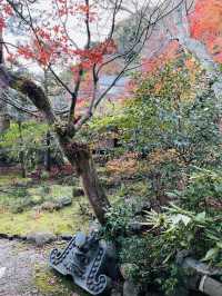 日本·京都嵐山二尊院