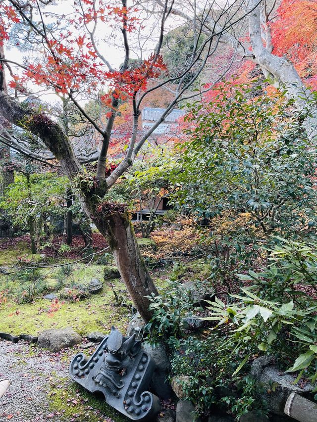 日本·京都嵐山二尊院