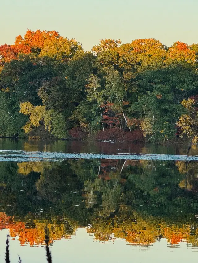 6-Day Short Vacation: Must-See Attractions in the US