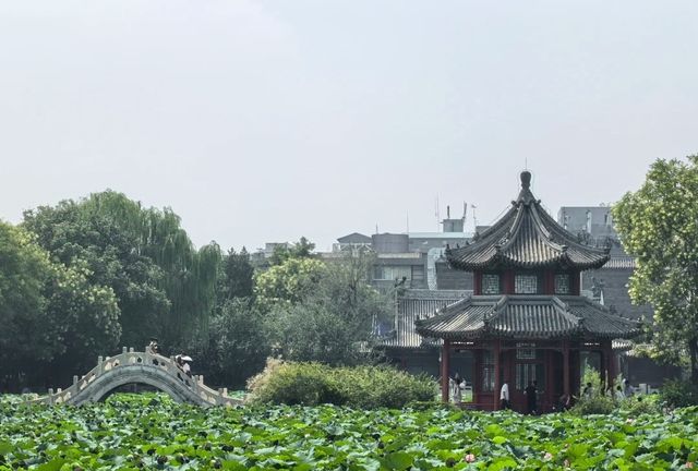 蓮池書院，保定的寶藏公園