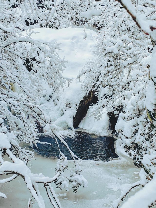 龍蒼溝雪景