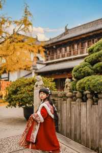 上海市區的真如寺銀杏葉落滿地啦