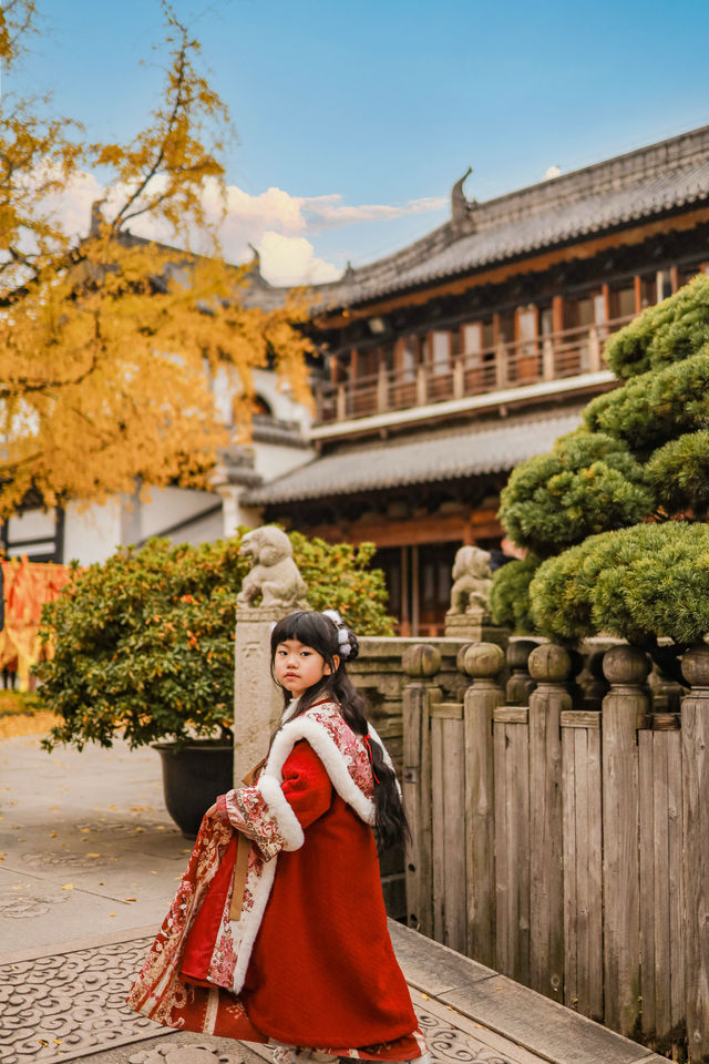 上海市區的真如寺銀杏葉落滿地啦