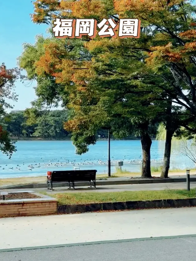 Fukuoka Ohori Park and Maizuru Park One-Day Tour Guide: A Must-Not-Miss Relaxation Trip