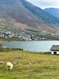 四川涼山冶勒湖｜雪山下的小北海道