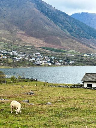Yele Lake, Liangshan, Sichuan | A Little Hokkaido Under the Snowy Mountains
