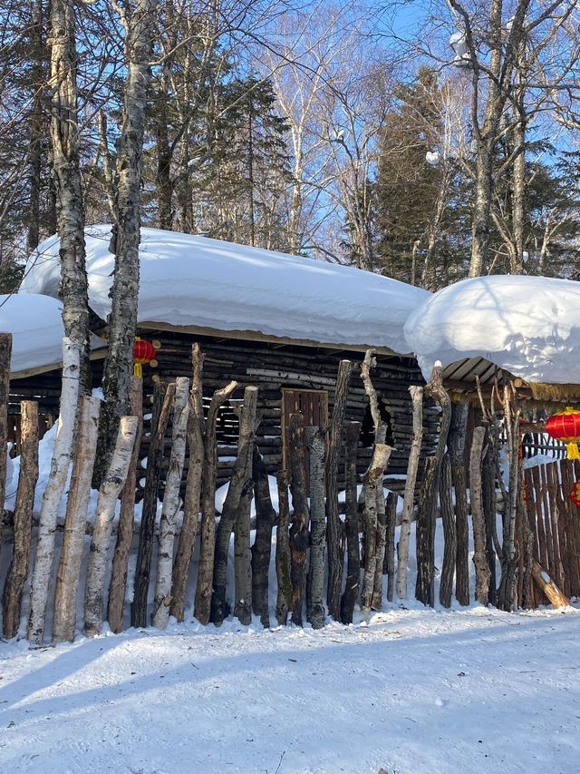 2日暢遊雪鄉等地 真溫泉洗禮心靈不踩坑