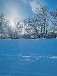 日本滑雪秘笈不看後悔一整個雪季