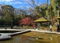 獨一無二的熱田神宮｜名古屋的千年神社，你所不知道的日本傳奇