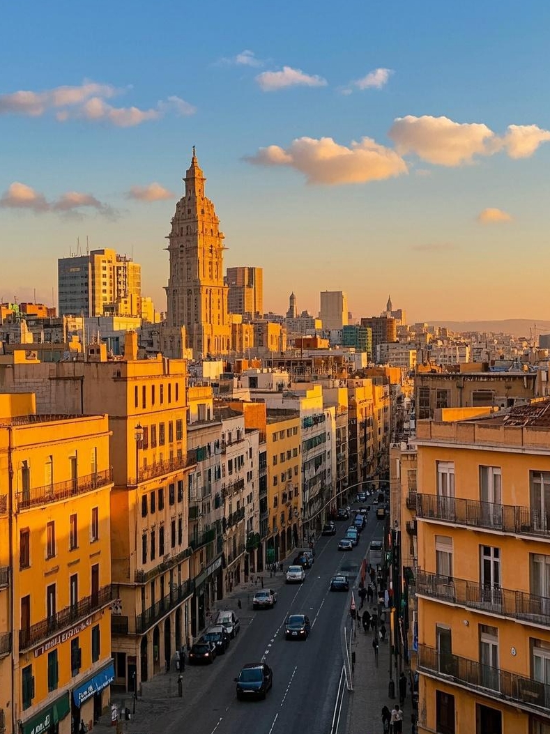 Làm thế nào để tham quan Algiers? Hãy đọc bài viết này nhé.