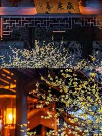 南京瞻園|中式旅行