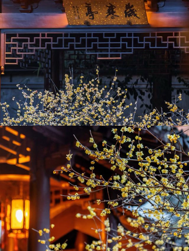 南京瞻園|中式旅行